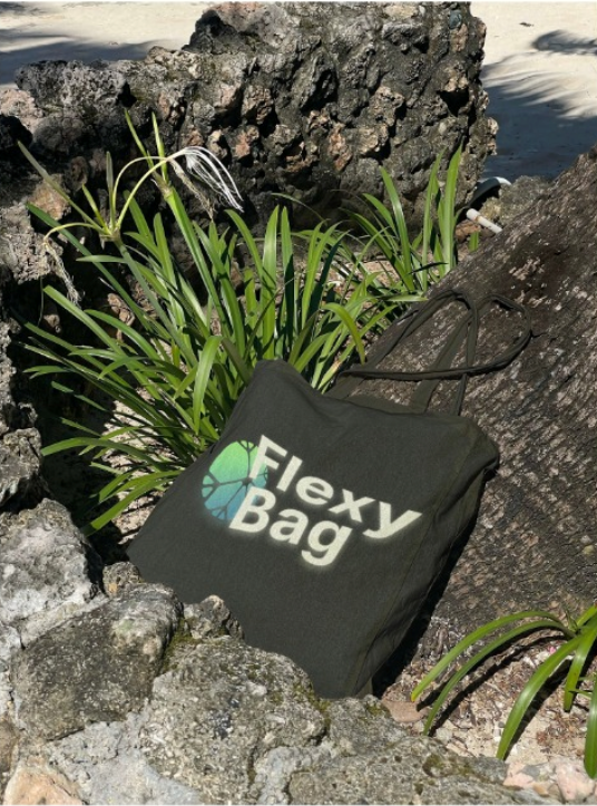 FLEXYBAG 1